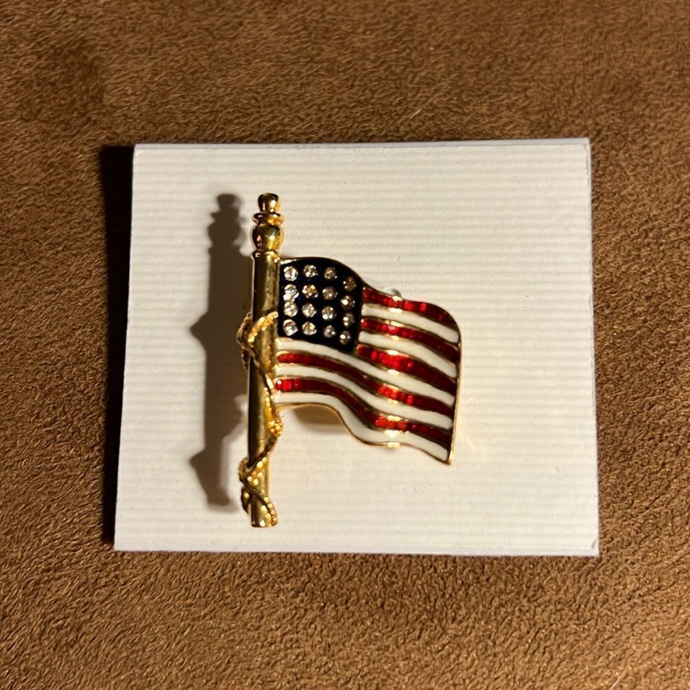 American flag gold brooch.